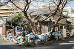 【放置空き家】「行政から指導が…」ゴミ屋敷寸前の実家を再生